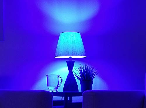 Sunlite 40940 Led Filament A19 Standard 4.5 (60 Watt Equivalent) Colored Transparent Dimmable Light Bulb, 6 Count, Blue #TOP5