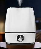 Everlasting Comfort Ultrasonic Cool Mist Humidifier