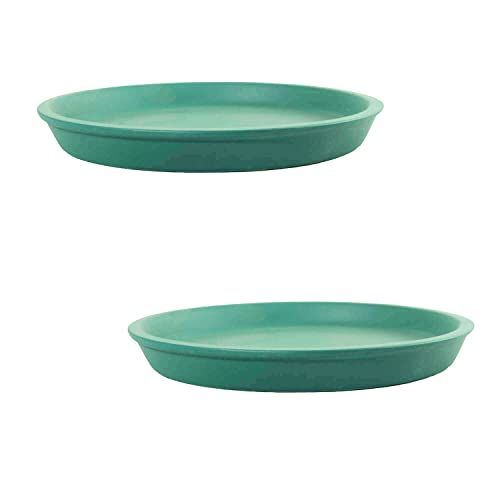 Image of Lasaki Round Deep Jungle Ceramic Bottom Tray /Plate for Planter (5-inch, Set of 2) | Dripping Tray for Pots & Succulents | Indoor & Outdoor Planters Home Garden Decor | (Plants Not Included)