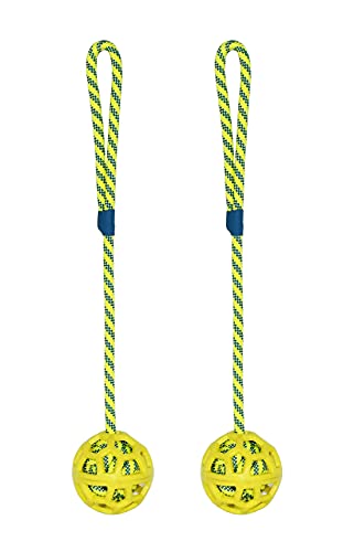 Bluehomy Dog Rope Toys Training Ball On Rope Rubber Dog Toy Ball With Handle Exercise And Reward Toy For Dogs For Chew Training Pull Throw Toy Tug Toy Dogs Fetch Toys, Set Of 2, Yellow (Dtb1001Yel-2) #TOP4