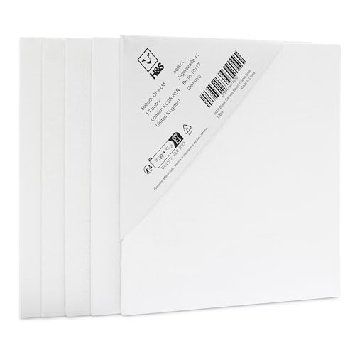 H&S Blank Canvas Borard Frame 5pcs Artist Painting Stretcher 20x20cm Acrylic Oil Water Painting