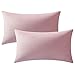 Funda Cojín, Paquete de 2, Fundas de Almohada Decorativas Cuadradas de Terciopelo Blando Sólido, Fundas Cojín Euro para la Granja, Sofá, Niños, Interiores y Exteriores, 30 x 50cm, 12x20inch,Rosa claro