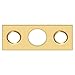 Deltana SP7FBR003 1-1/2" Height X 5/8" Width Strike Plate For 7" Flush Bolt Lifetime Polished Brass