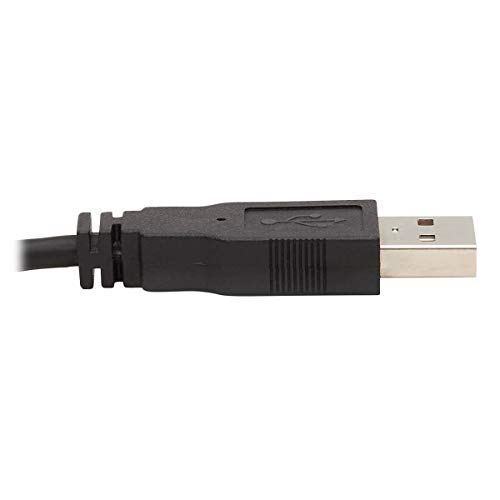 Cable KVM DVI P784-006-U para conectar audio USB y video digital en un switch 7