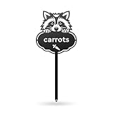 Rocky The Raccoon Seed & Plant Markers – Cute Metal Garden Labels for Herbs & Vegetables (CARROTS-B-6X13)