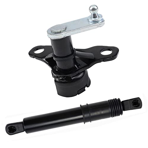 TENGWUMA Tailgate Damper Kit Fits for F150 2015 2016 2017 2018 2019