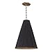 Blake 1-Light Pendant with Black S - Aged Brass Finish with Black and Silver Trim Silk Shade