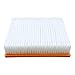 Roneeson Engine Air Filter and Cabin Air Filter Combo Set for Chrysler 200 V6 3.6L 2011-2014, Dodge Avenger V6 3.6L 2011-2014, Journey V6 3.6L 2011-2018