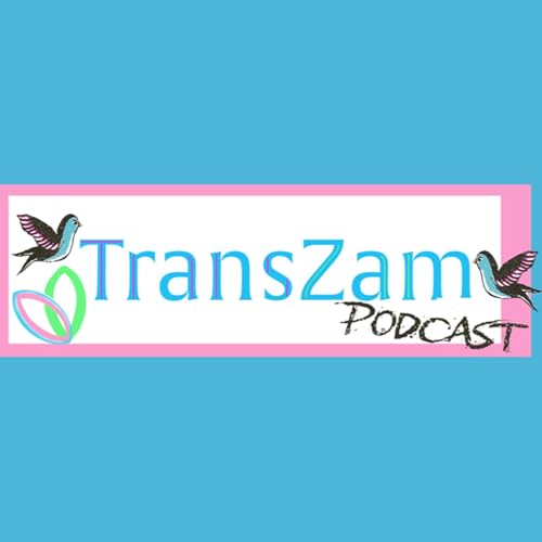 TransZam copertina