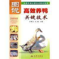drawings of key technologies and efficient duck