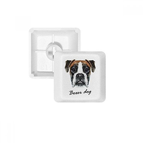 Teclas Perro del Boxeador PBT Evita el Desgaste en tu Teclado Mecánico Blanco