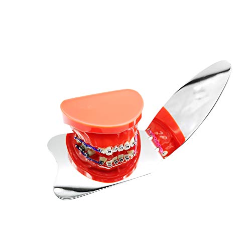 image for Sino Dental Group Sino Dental Intraoral Mirrors Dental Photography Mir