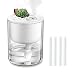 DCMEKA Desk Humidifier, [Newest Updated Version] USB Cool Mist Humidifier, Quiet Ultrasonic Mini Humidifier for Bedroom Home Baby Office , Timed Auto Shut-Off, 4 Cotton Sticks Included(320ml 50ml/h)