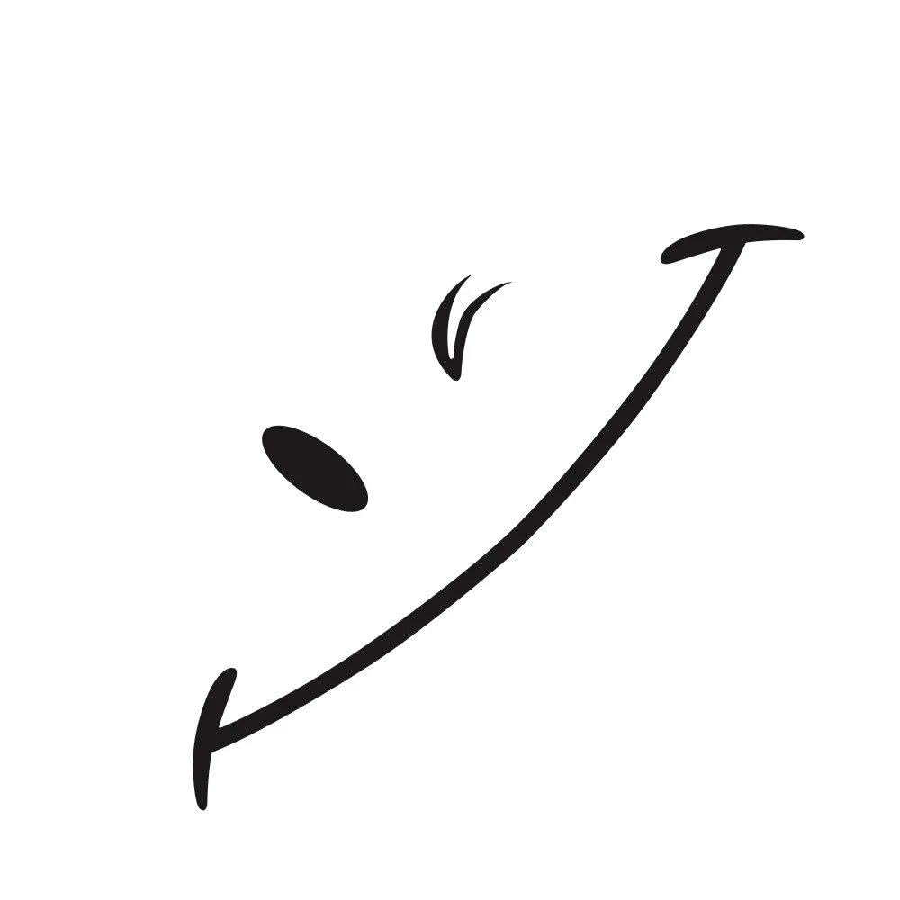 Dabhuoc Glossy Black Car Front Rear Bumper Sticker Smile Styling Decal Auto Tuning Accessories(Glossy Black)