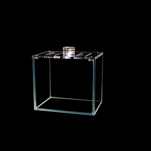 YZHZOM Small Glass Rimless Aquarium, Small Glass Fish Tank kit,Mini Fish Tank with Cover, Small Nano Rimless Tank, Small Glass Fish Tank, Shrimp Tank (0.3Gallon 4.7x3.1x4.7inch)