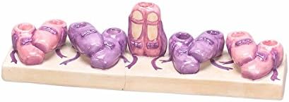 Hanukkah Menorah for Candles Ballet for Chanukah Party