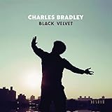  BLACK VELVET