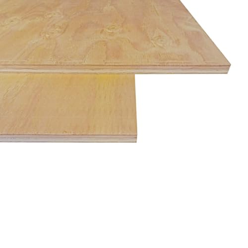 木 板 木材 板 板材 カット 針葉樹合板 JAS F☆☆☆☆ 【 厚さ 24mm × 幅 500mm × 長さ 600 mm 2枚セット 】 ウッディヨネダ