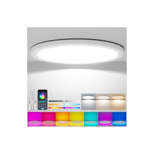 Coizabera LED�V�[�����O���C�g 10�� 5200LM �Ԑڌ�RGB �������F �ɔ��^ �V��Ɩ���� ������� �d�C �u���� ���͋C���C�g �����R���t�� Ceiling Light 10���Q��/���r���O/�_�C�j���O/�q������/�Q�[�����[���K�p
