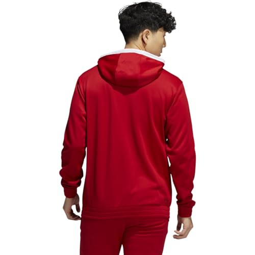 Adidas Sweat à capuche Team Issue pour homme en molleton gris