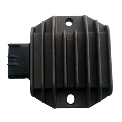 Stabilizzatore di tensione per moto: lo stabilizzatore di tensione per moto è il tuo accessorio perfetto.