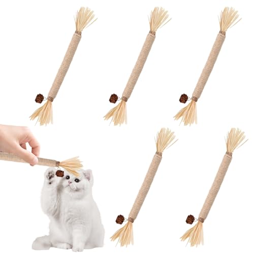 Bagentry 6 Pack Silvervine Sticks for Cats Chewers, Natural Cat Chew Stick, Interactive Kitten Chew Playthings, Silver Vine Chew Sticks for Indoor Kitty Nip Teeth Cleaning Dental Care Biting (6)