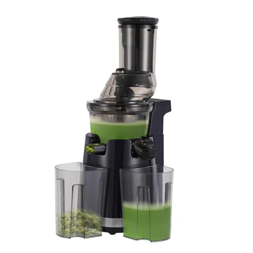 Slow Juicer - Spremiagrumi per frutta e verdura, 250 W, 58 giri/min, con 2 tazze, 800 ml, per frutta e verdura intera, blu scuro