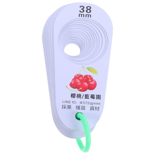 FELTECHELECTR ʌac[ vX`bN t[cQ[W `F[ x[