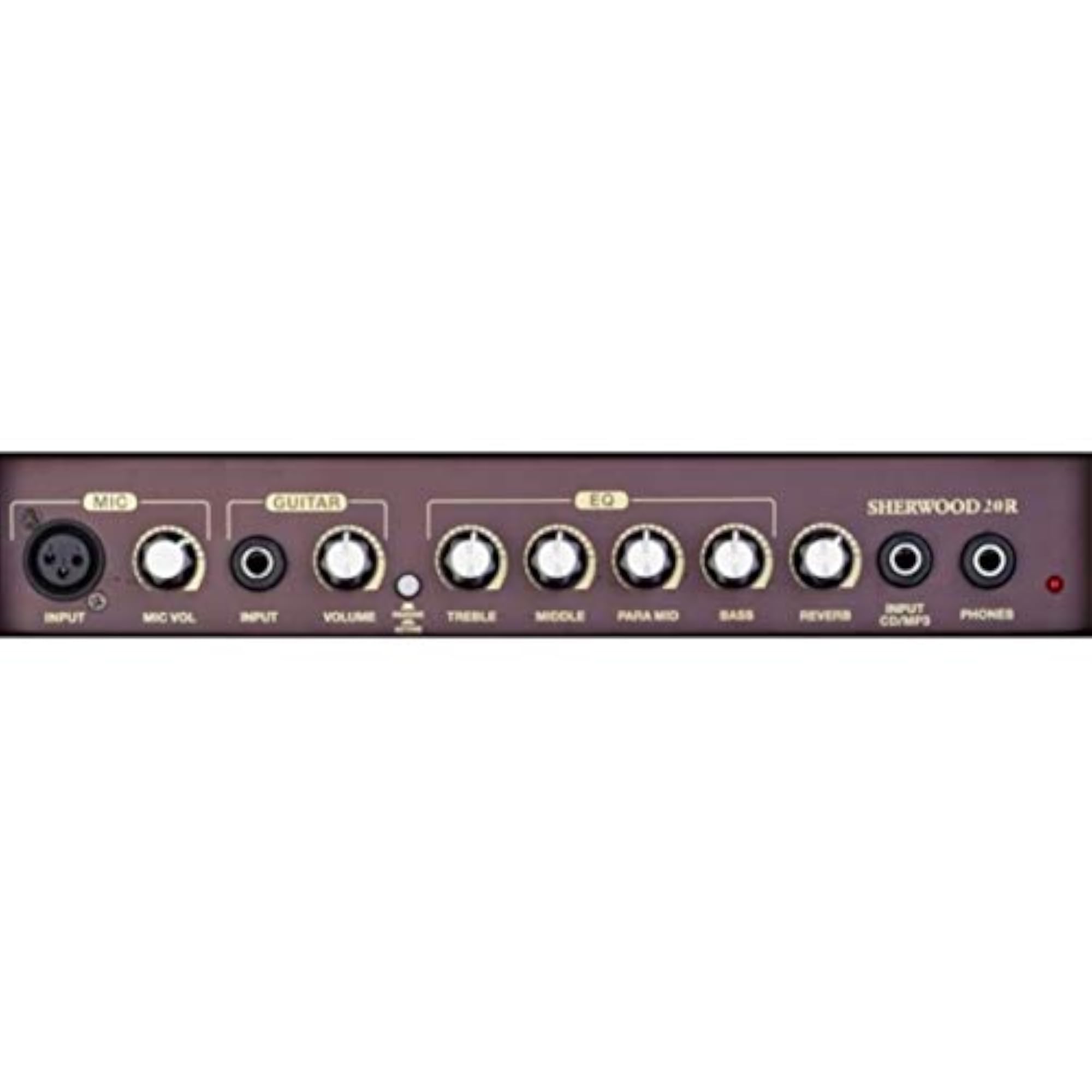 Sherwood 20R Acoustic Guitar Combo Amp with Reverb
