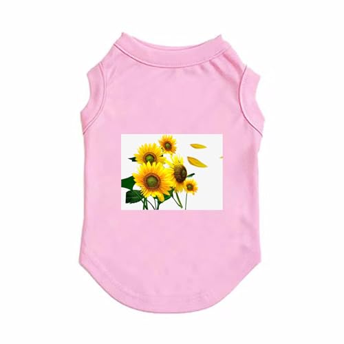 [XANPYO] ybg  5XL t  ̕ ėp ^Ngbv  m[X[uxXg 񂱕 ^ ^ ^ L  _炩 JWA   ybg Lk sN ₷ Eѕی h