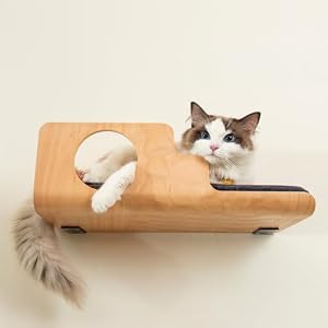LIORCE Katzen-Wandregal mit Guckloch