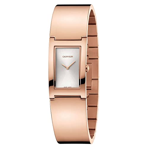 Ck Polished Ly Adj Pvd5n Bgle Sil Dial - vue 2