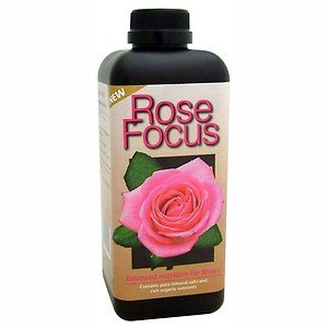 Rose Focus - Growth Technology - 1L - Quick -
