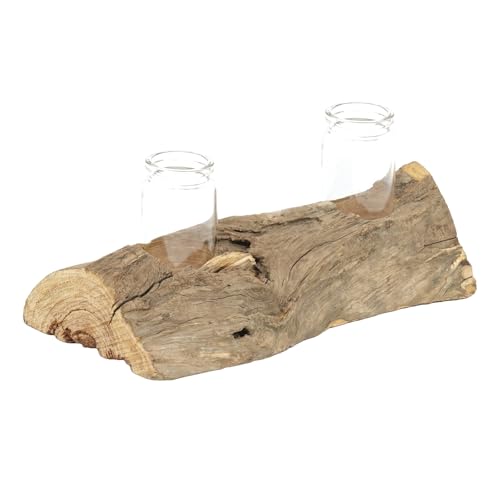 CREEDWOOD REAGENZGLAS VASE Yuma II | Treibholz, 19x12cm (BxT), 2 Gläser | Wurzel Blumen Vase, Holz Tischvase, Treibholz Glas Vase, Pflanzgefäß, Natur Tisch Vase