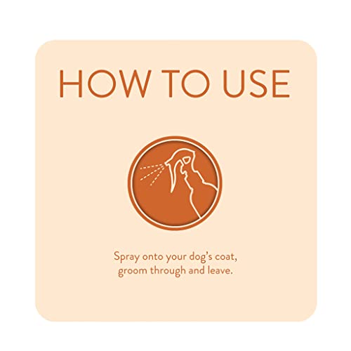 Animology Dirty Dawg No Rinse Shampoo 250Ml #TOP4
