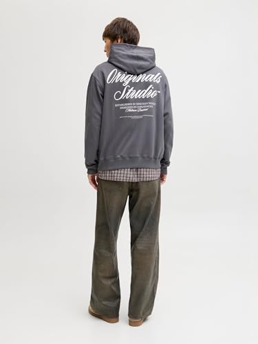 JACK & JONES Rückenprint Kapuzenpullover Grau X_L – Ansicht 5
