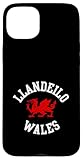 hangout llandeilo facebook Fácil instalación Llandeilo Gales Dragón Galés Adecuado para Niños, Hombres Mujeres Carcasa para iPhone 15 Plus