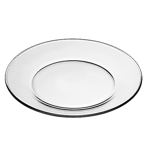 Red Pomegranate ELEMENT Set of 4 Glass Dinner Plates