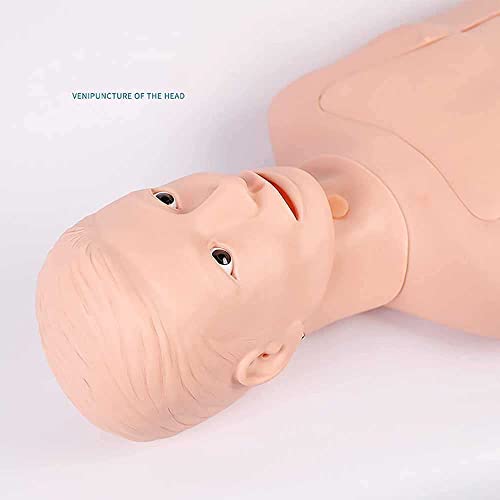 Foccar Intubation Gastric Tube Model Training Manikin Advanced Nasogastric Tube And Trachea Care Model Gastric Lavage Tracheostomy Model #TOP2