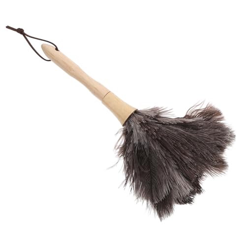 Mikinona Spolveratore in Spolverino Per Auto e Casa Strumento Per Pulizia Dei Mobili Spolverino Portatile e Riutilizzabile Adatto Scaffali Tende e Superfici Delicate