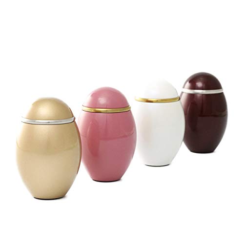 d͂₵ ~j A~  RRX (p[zCg j   p ⍜ 茳{