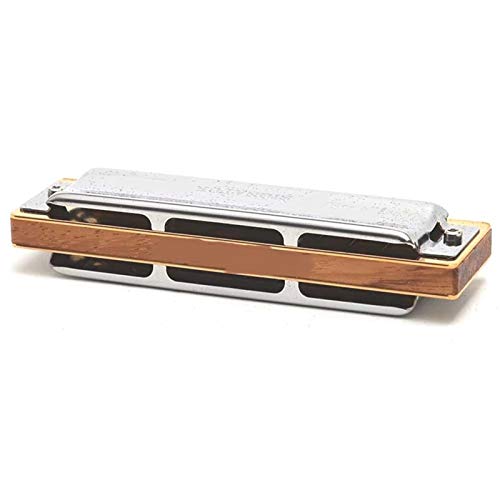 KIRANDIE Harmonica Blues Harpe diatonique Harmonica 10 Trous Instruments de Musique 20 Tons - Les Beatles, Paul McCartney, John Lennon, RIngo Starr, George Harrison KIRANDIE Harmonica Blues Harpe diatonique Harmonica 10 Trous Instruments de Musique 20 Tons – Image 4