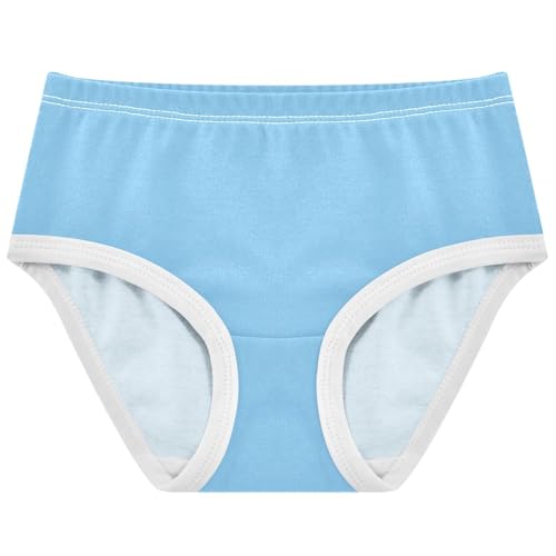 Joisal Light Sky Blue Toddlers Underwear Floral 2t Cotton Cute Panties Girl Bright Kids Undies Briefs