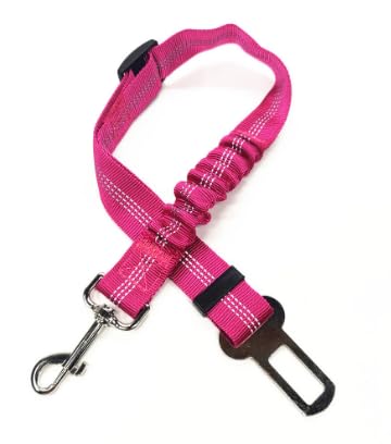 Hunde-Sicherheitsgurt Set – Einziehbar, Verstellbar, Mit Bungee-Puffer & Karabiner