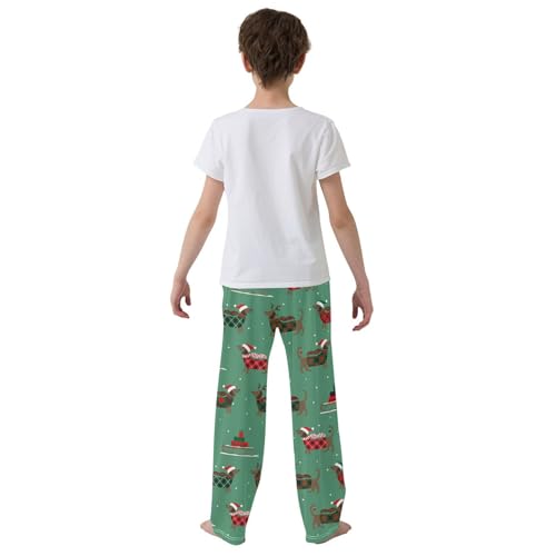 Boys' Pants Christmas Hats Duchshunds Long Bottoms Jogger Pants Elastic Waist Trousers with Pockets S-XL3