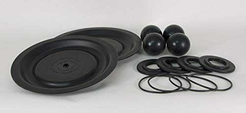 Dayton Pump Repair Kit, Includes Diaphragms, Balls, O-Rings & Valve Seats 22A620-1 Each
