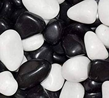 KAPOOR ENTERPRISE Polished White & Black Mix Natural Pebbles Aquarium Fish Tank Colorful Stones Landscaping Vase Filler 1 kg Polished Oval Marble Pebbles (Black, White 1 kg) (B09YTZ5N33) Amazon Price History, Amazon Price Tracker