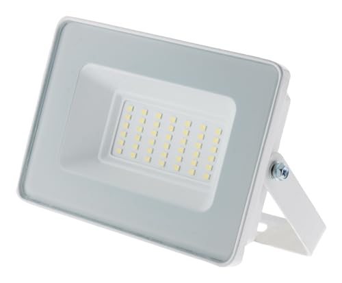 Zenitech Projecteur LED de chantier étanche - 30W 3000lm IP65 6500K - Blanc