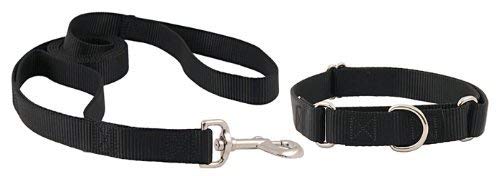 Pets Empire Nylon Pet Small Dog Tracking Basic Leash with Adjustable Collar Belt - Color May Vary Size : Large-25mm. (B07MNX43FS) Amazon Price History, Amazon Price Tracker