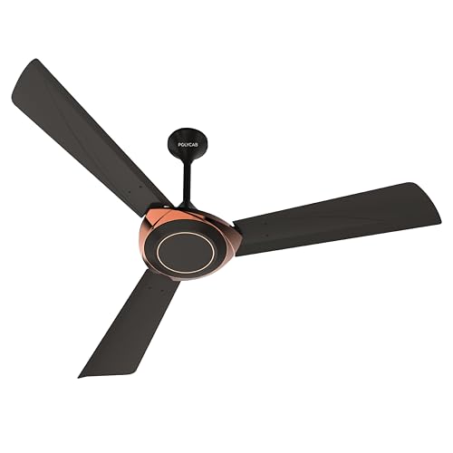 Jaco Bean Bronze Gold
